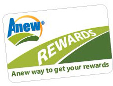 Anew Rewards Card032615